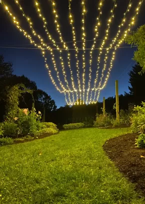 Overhead lighting in garden