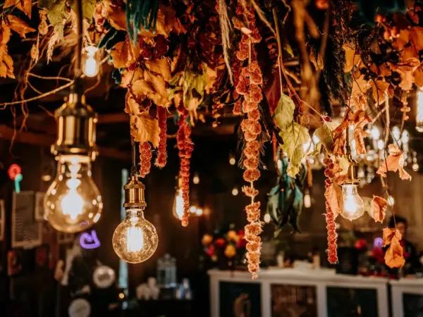 Hanging flowers and lights