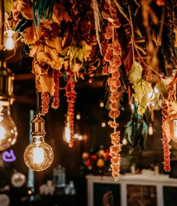 Hanging flowers and lights