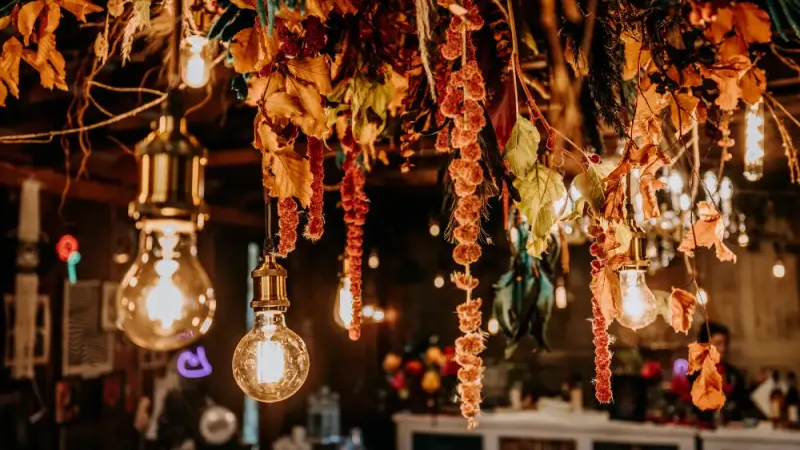 Hanging flowers and lights