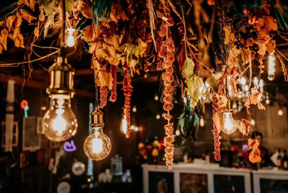 Hanging flowers and lights