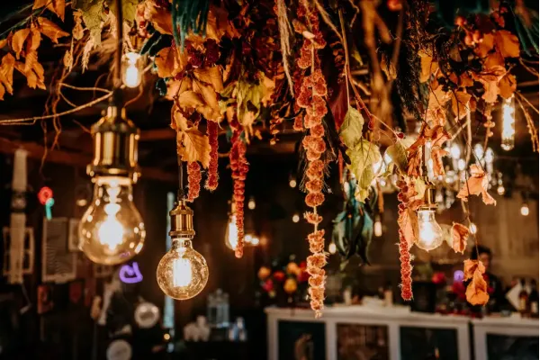 Hanging flowers and lights